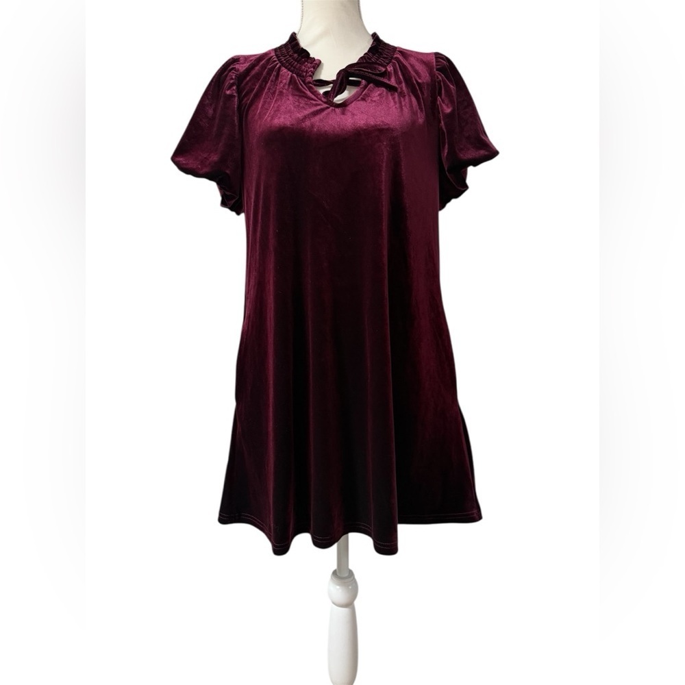 G J O Burgundy Velvet Short Sleeve Dress Size S